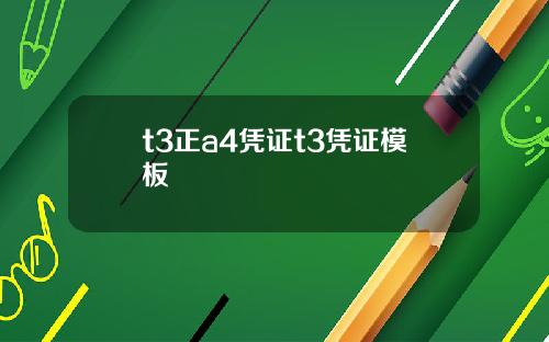 t3正a4凭证t3凭证模板