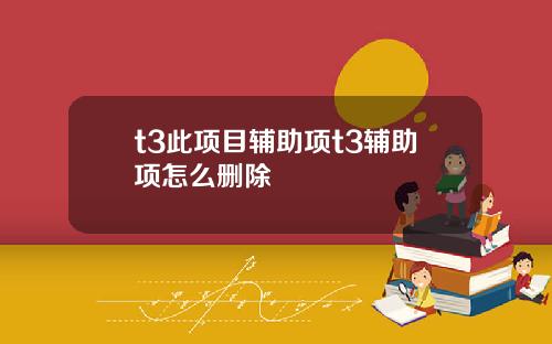 t3此项目辅助项t3辅助项怎么删除