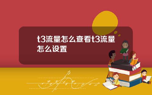 t3流量怎么查看t3流量怎么设置