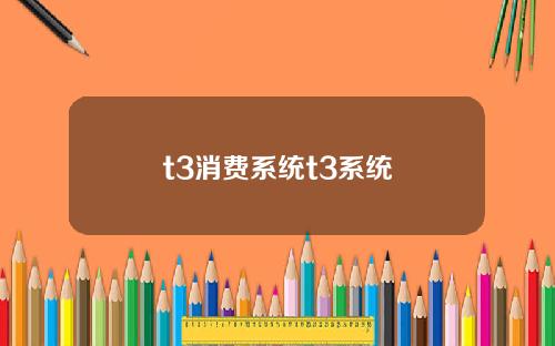 t3消费系统t3系统