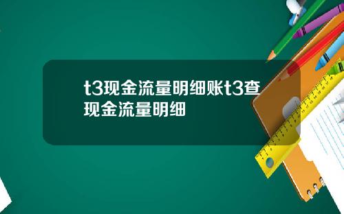 t3现金流量明细账t3查现金流量明细