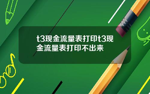 t3现金流量表打印t3现金流量表打印不出来