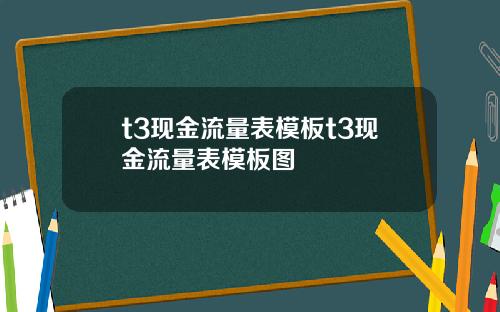 t3现金流量表模板t3现金流量表模板图