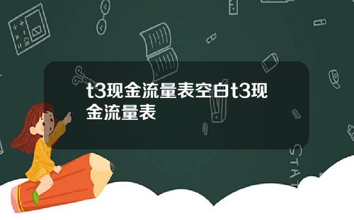 t3现金流量表空白t3现金流量表