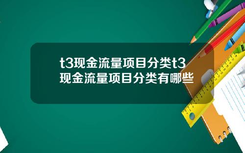 t3现金流量项目分类t3现金流量项目分类有哪些