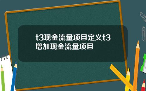 t3现金流量项目定义t3增加现金流量项目