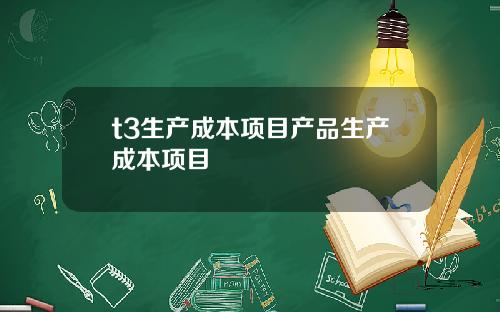 t3生产成本项目产品生产成本项目
