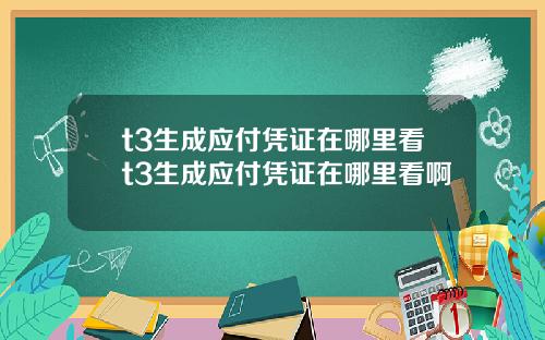 t3生成应付凭证在哪里看t3生成应付凭证在哪里看啊