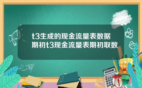 t3生成的现金流量表数据期初t3现金流量表期初取数