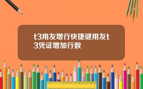 t3用友增行快捷键用友t3凭证增加行数