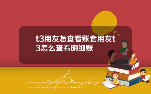 t3用友怎查看账套用友t3怎么查看明细账