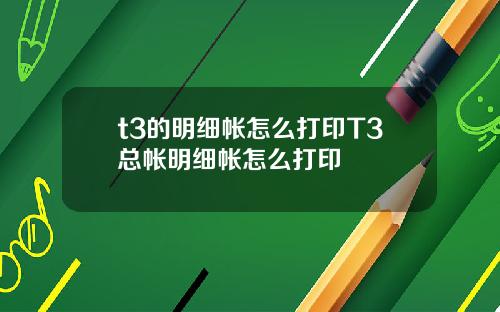 t3的明细帐怎么打印T3总帐明细帐怎么打印