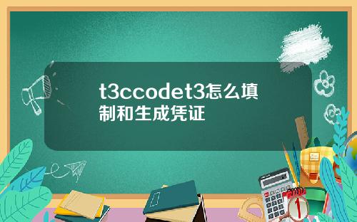 t3ccodet3怎么填制和生成凭证
