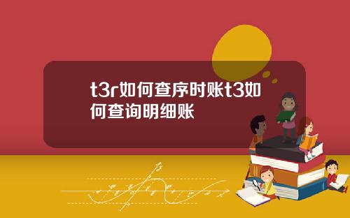 t3r如何查序时账t3如何查询明细账