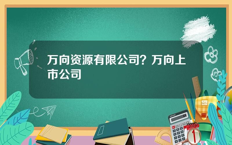 万向资源有限公司？万向上市公司