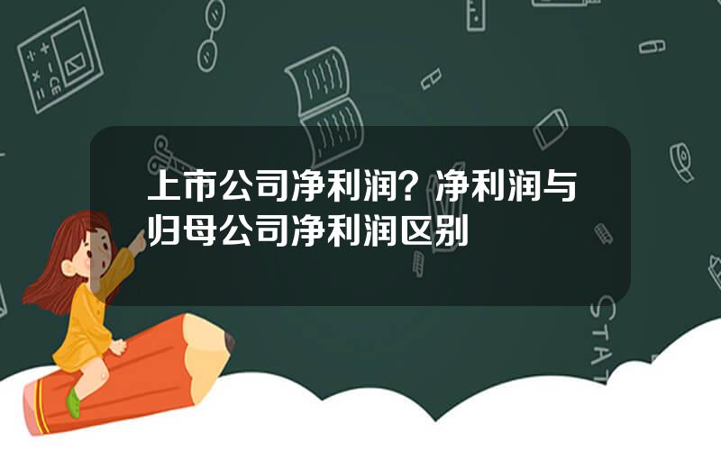 上市公司净利润？净利润与归母公司净利润区别
