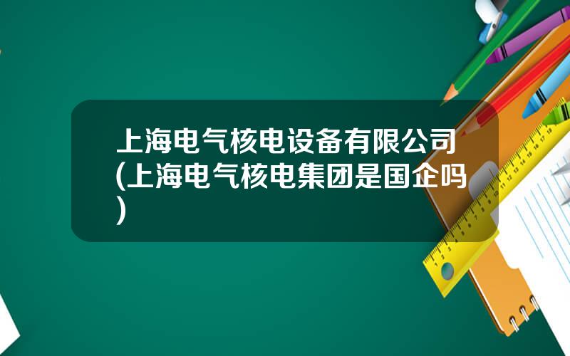 上海电气核电设备有限公司(上海电气核电集团是国企吗)