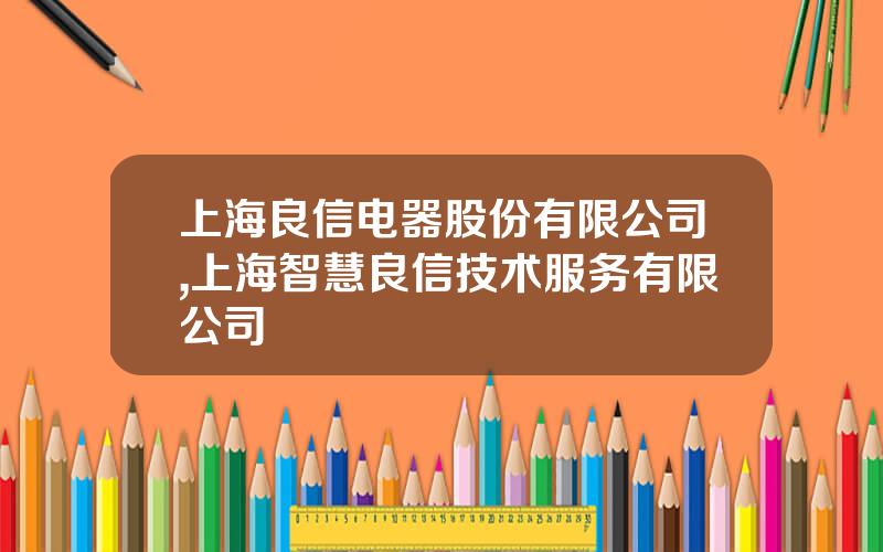 上海良信电器股份有限公司,上海智慧良信技术服务有限公司