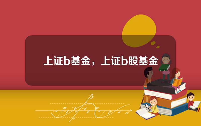 上证b基金，上证b股基金