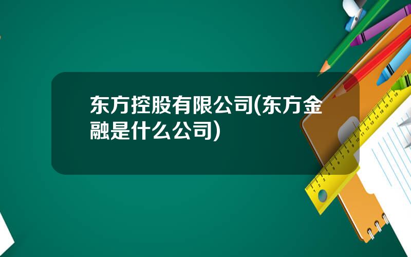 东方控股有限公司(东方金融是什么公司)