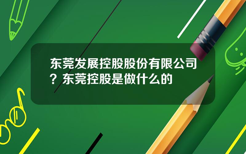 东莞发展控股股份有限公司？东莞控股是做什么的