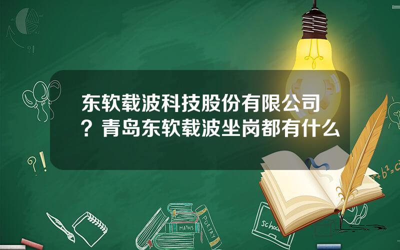 东软载波科技股份有限公司？青岛东软载波坐岗都有什么