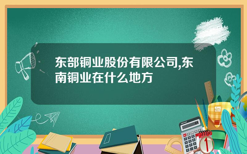 东部铜业股份有限公司,东南铜业在什么地方