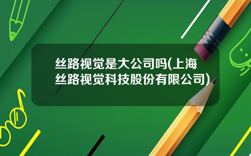 丝路视觉是大公司吗(上海丝路视觉科技股份有限公司)