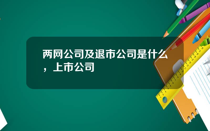 两网公司及退市公司是什么，上市公司
