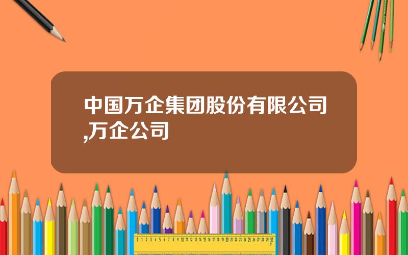 中国万企集团股份有限公司,万企公司