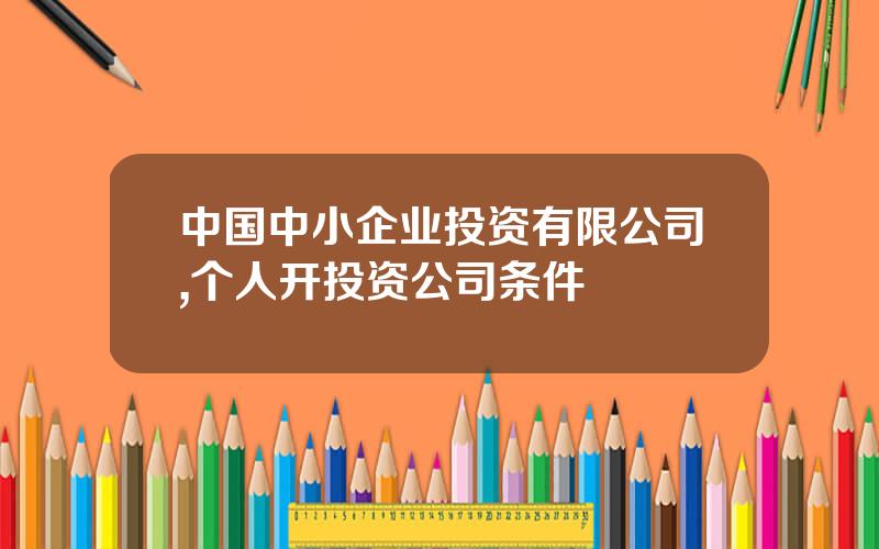 中国中小企业投资有限公司,个人开投资公司条件