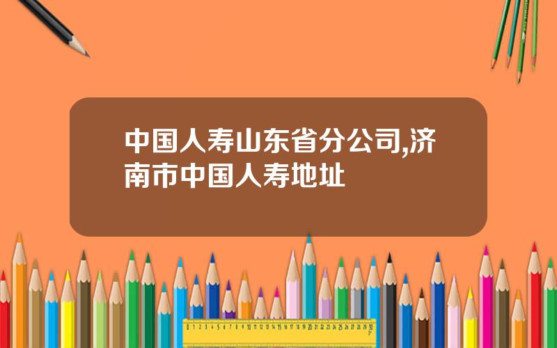 中国人寿山东省分公司,济南市中国人寿地址