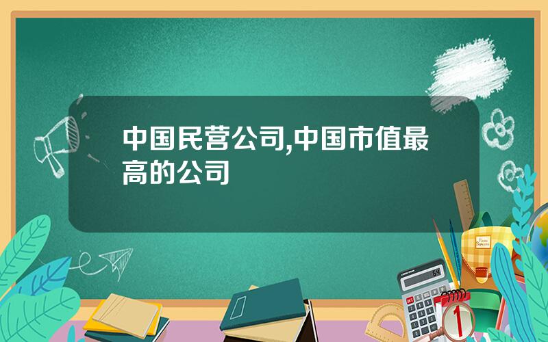 中国民营公司,中国市值最高的公司
