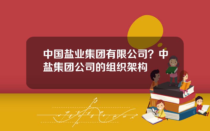 中国盐业集团有限公司？中盐集团公司的组织架构