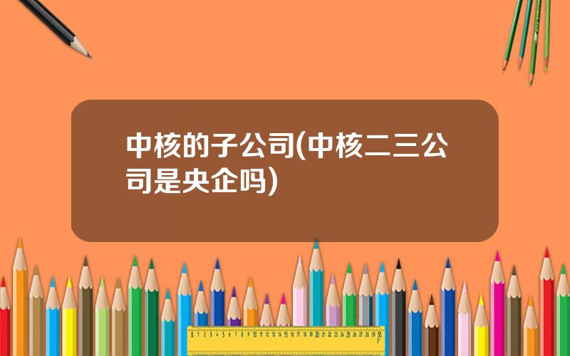中核的子公司(中核二三公司是央企吗)