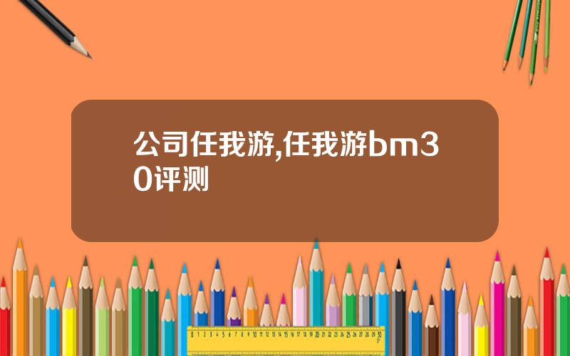 公司任我游,任我游bm30评测