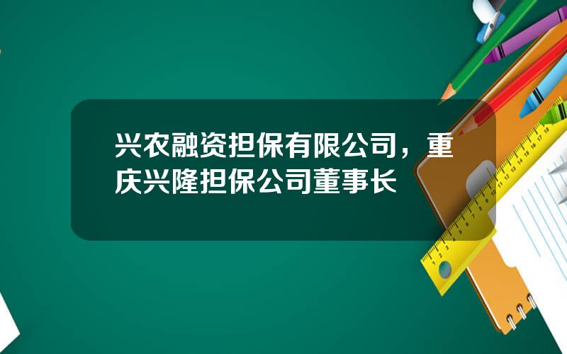 兴农融资担保有限公司，重庆兴隆担保公司董事长