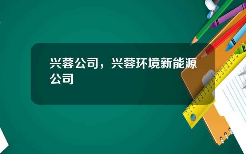 兴蓉公司，兴蓉环境新能源公司