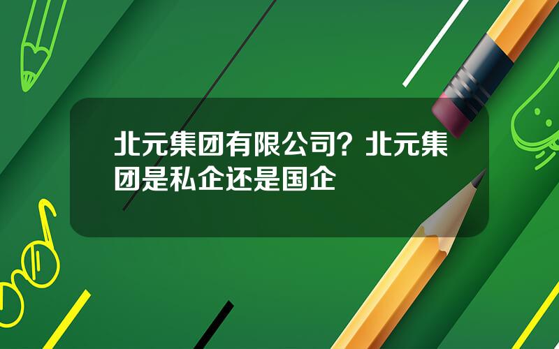 北元集团有限公司？北元集团是私企还是国企
