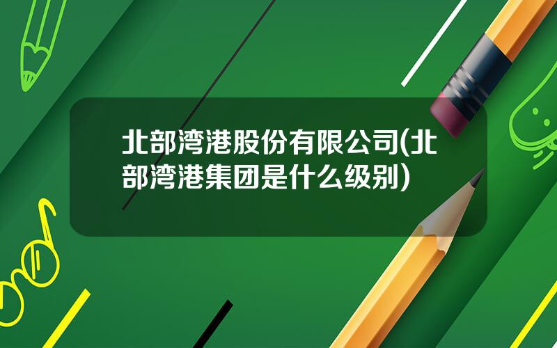 北部湾港股份有限公司(北部湾港集团是什么级别)