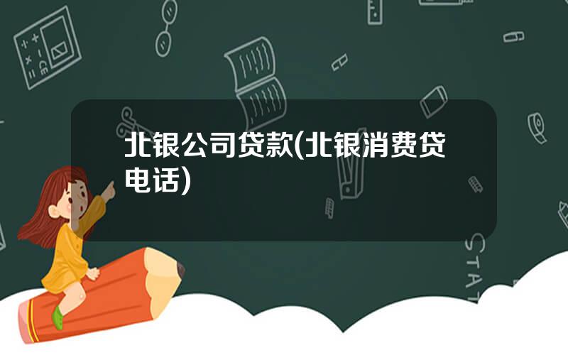 北银公司贷款(北银消费贷电话)