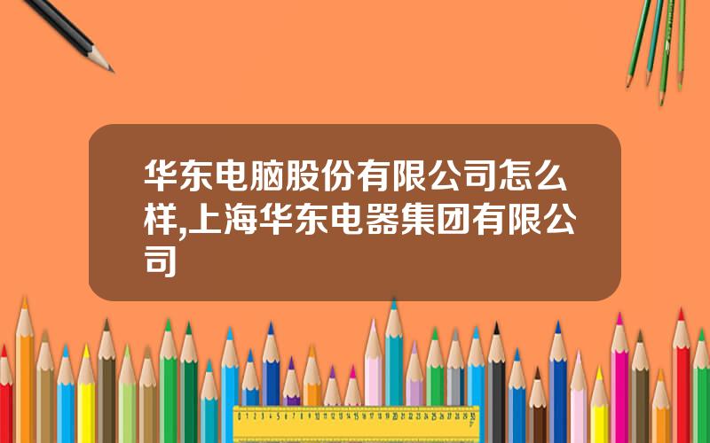 华东电脑股份有限公司怎么样,上海华东电器集团有限公司
