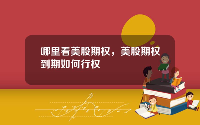 哪里看美股期权，美股期权到期如何行权