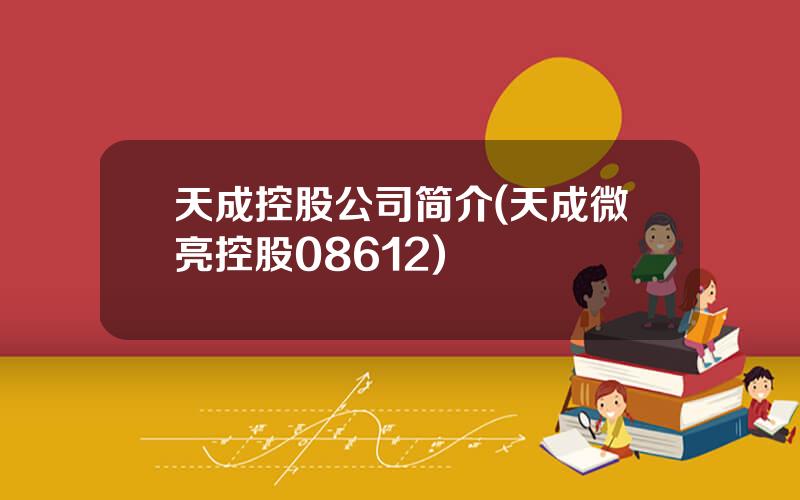 天成控股公司简介(天成微亮控股08612)
