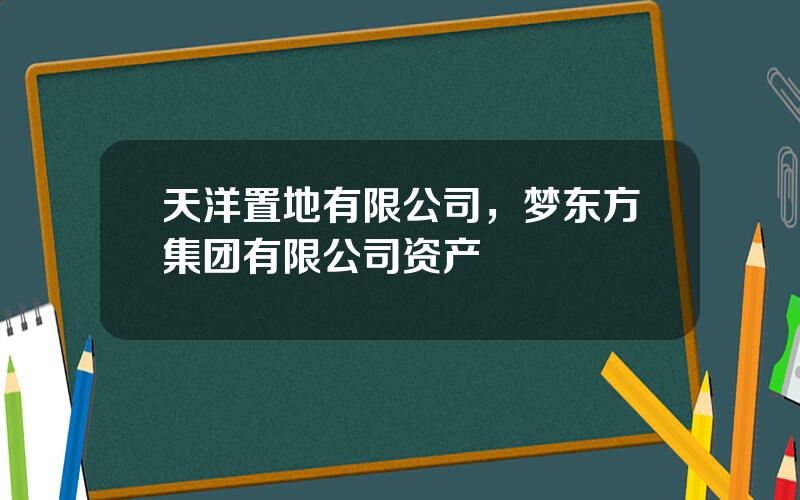 天洋置地有限公司，梦东方集团有限公司资产