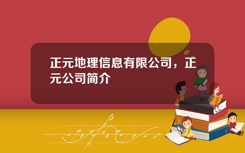正元地理信息有限公司，正元公司简介
