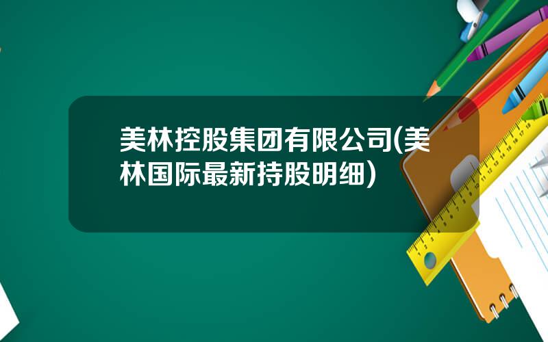 美林控股集团有限公司(美林国际最新持股明细)