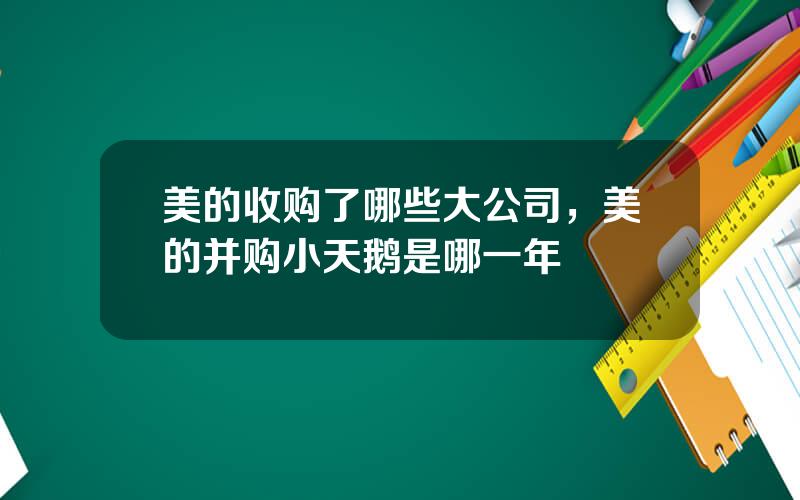 美的收购了哪些大公司，美的并购小天鹅是哪一年